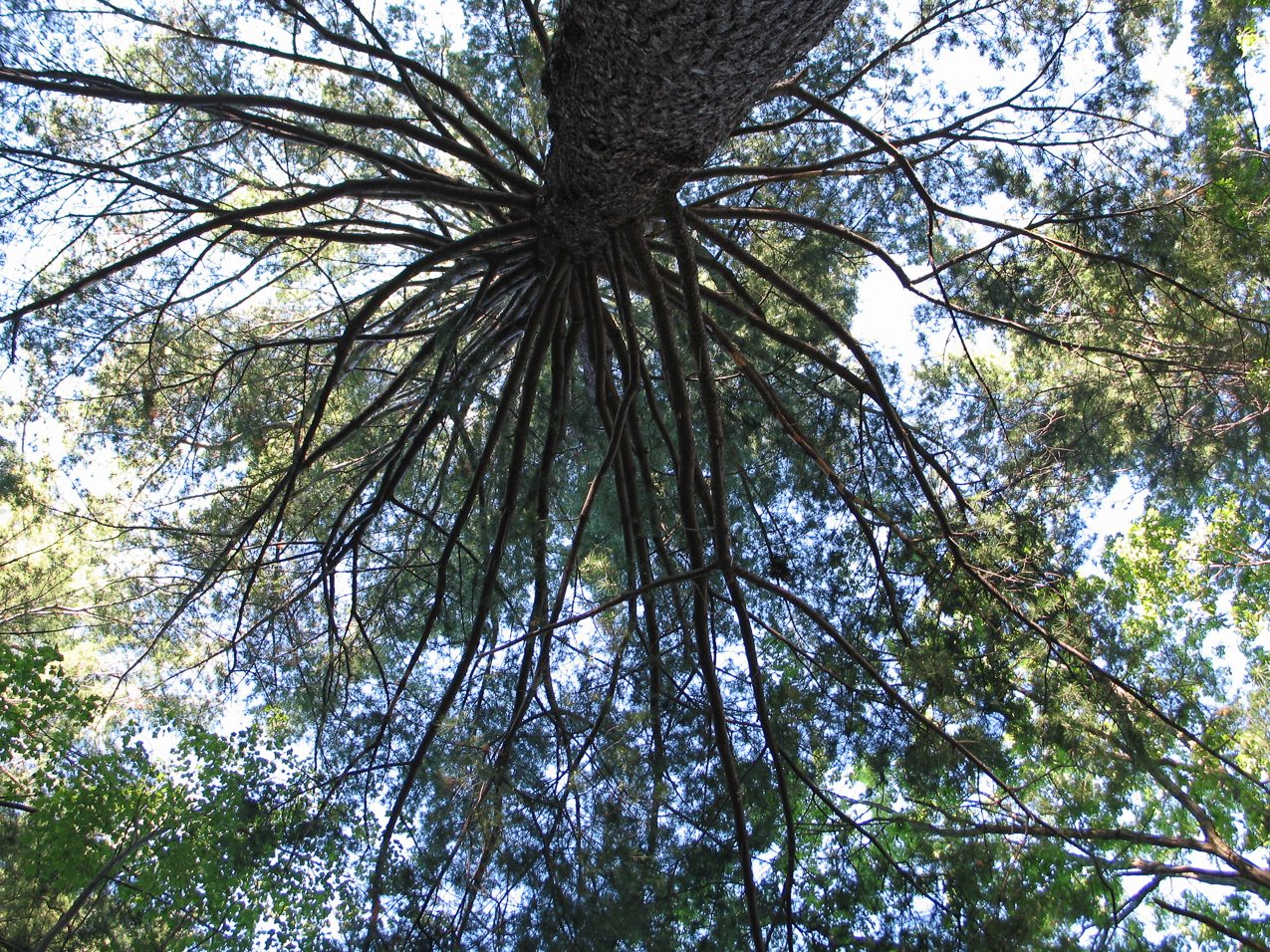   ~~  gotta play around.