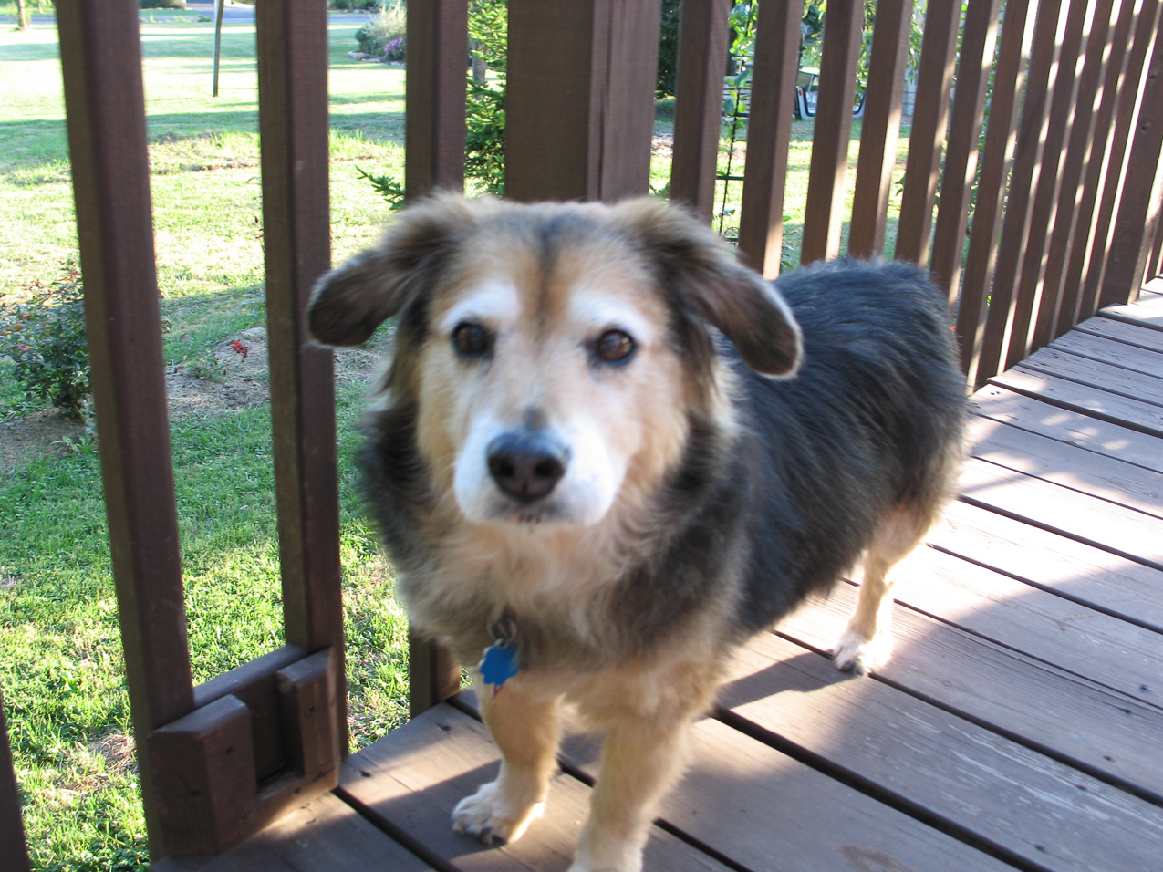   ~~  no that is Liam....