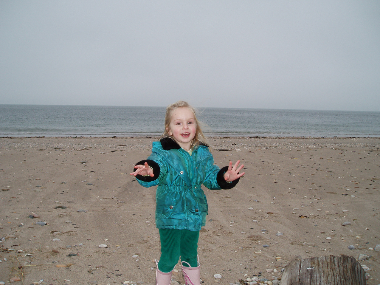   ~~  OLYMPUS DIGITAL CAMERA