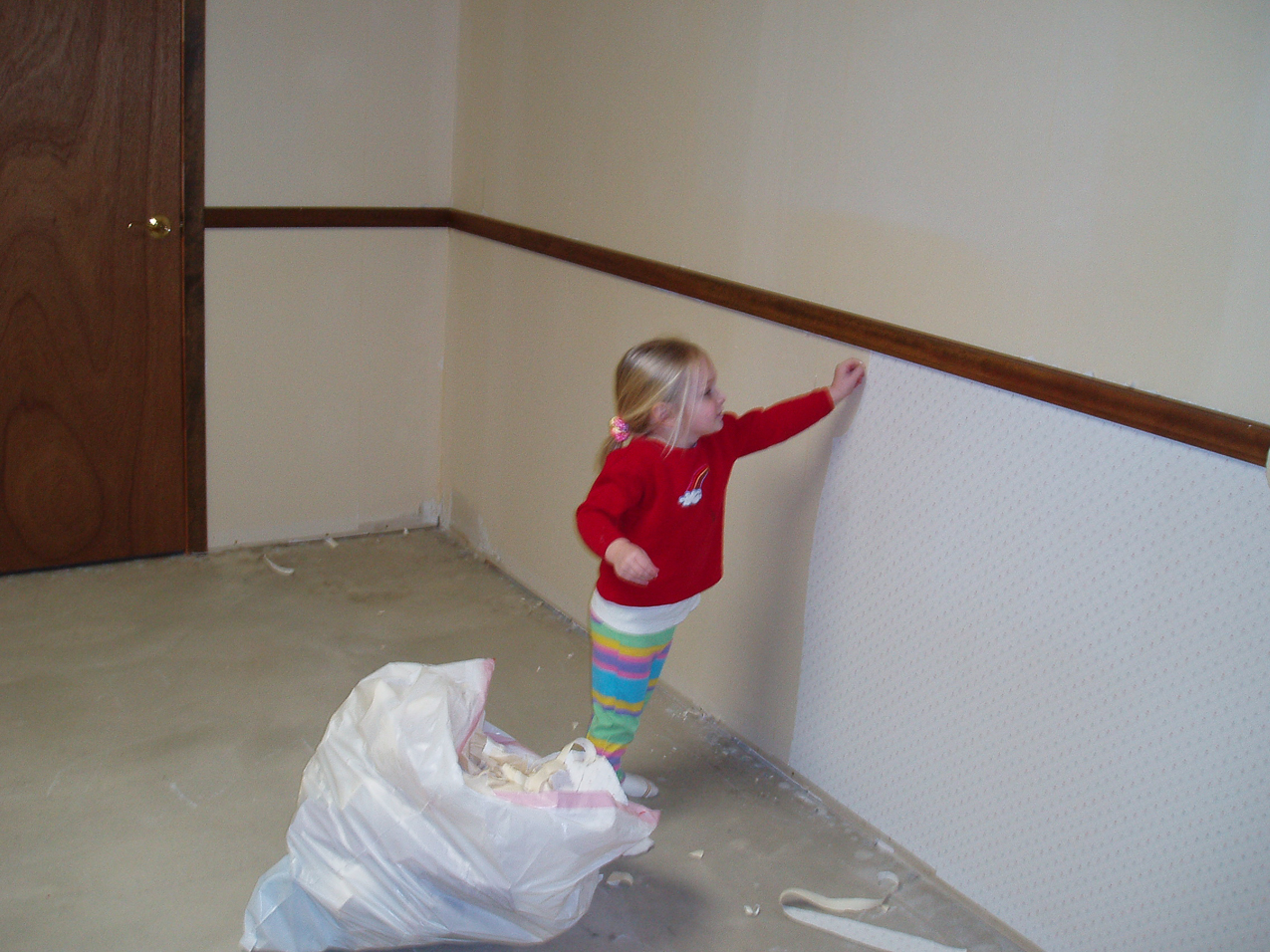   ~~  OLYMPUS DIGITAL CAMERA