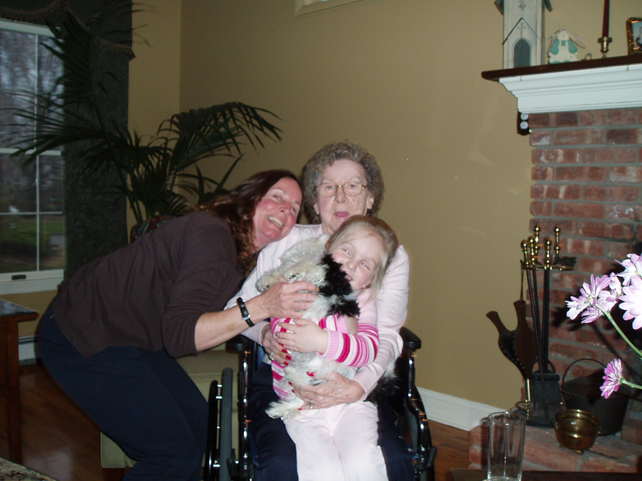   ~~  OLYMPUS DIGITAL CAMERA