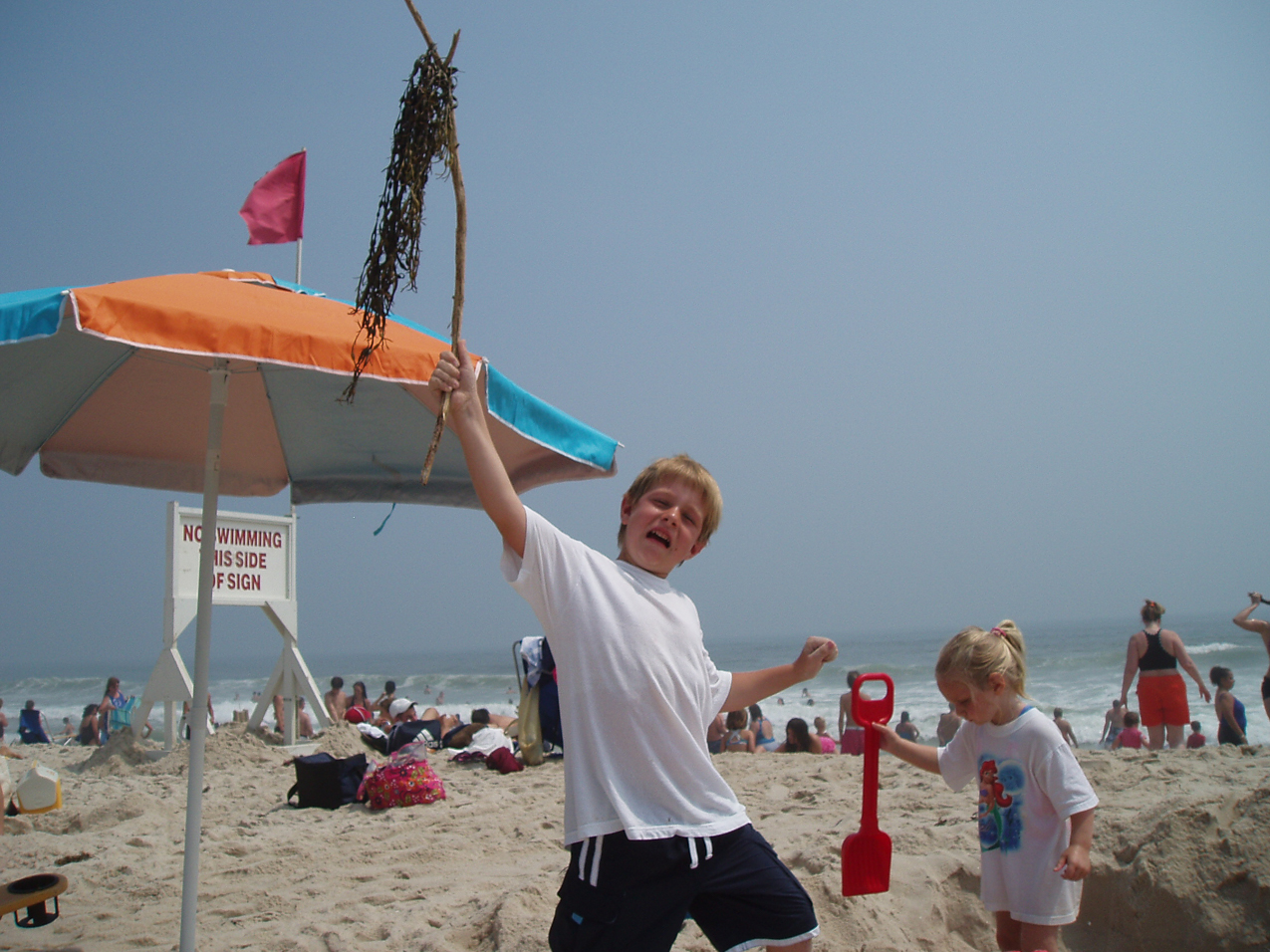   ~~  OLYMPUS DIGITAL CAMERA