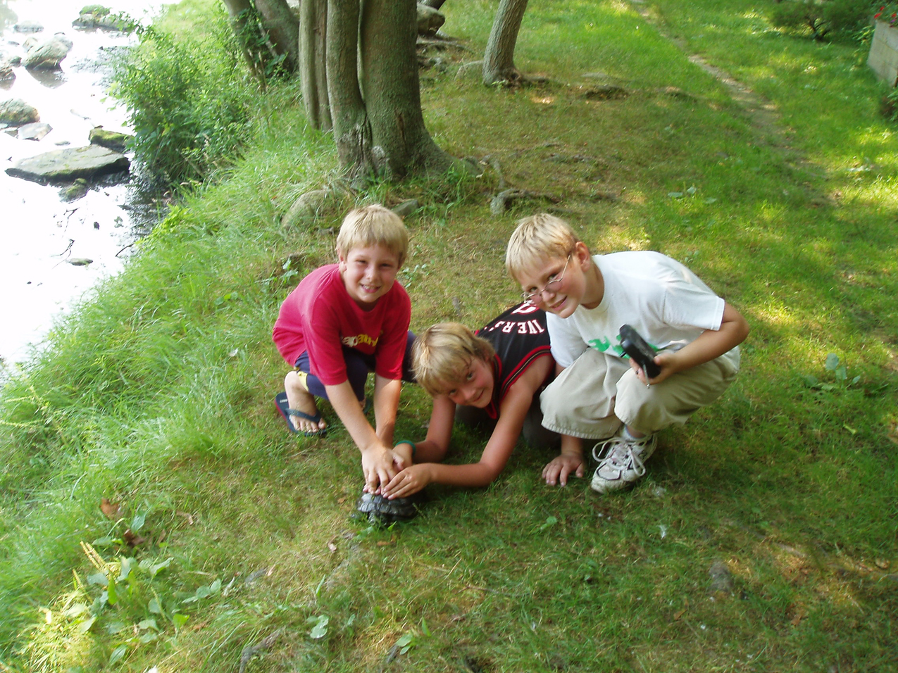   ~~  OLYMPUS DIGITAL CAMERA