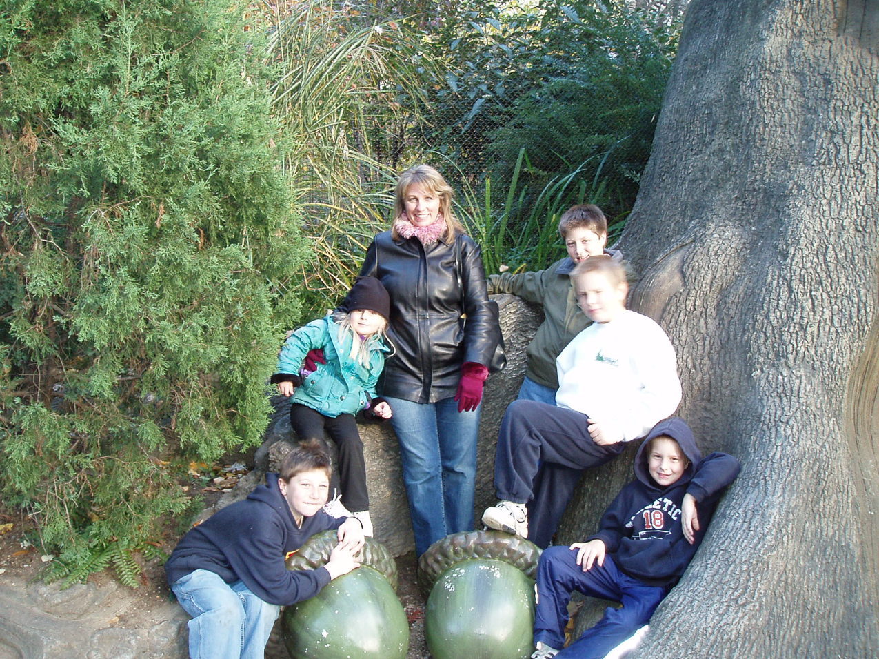   ~~  OLYMPUS DIGITAL CAMERA