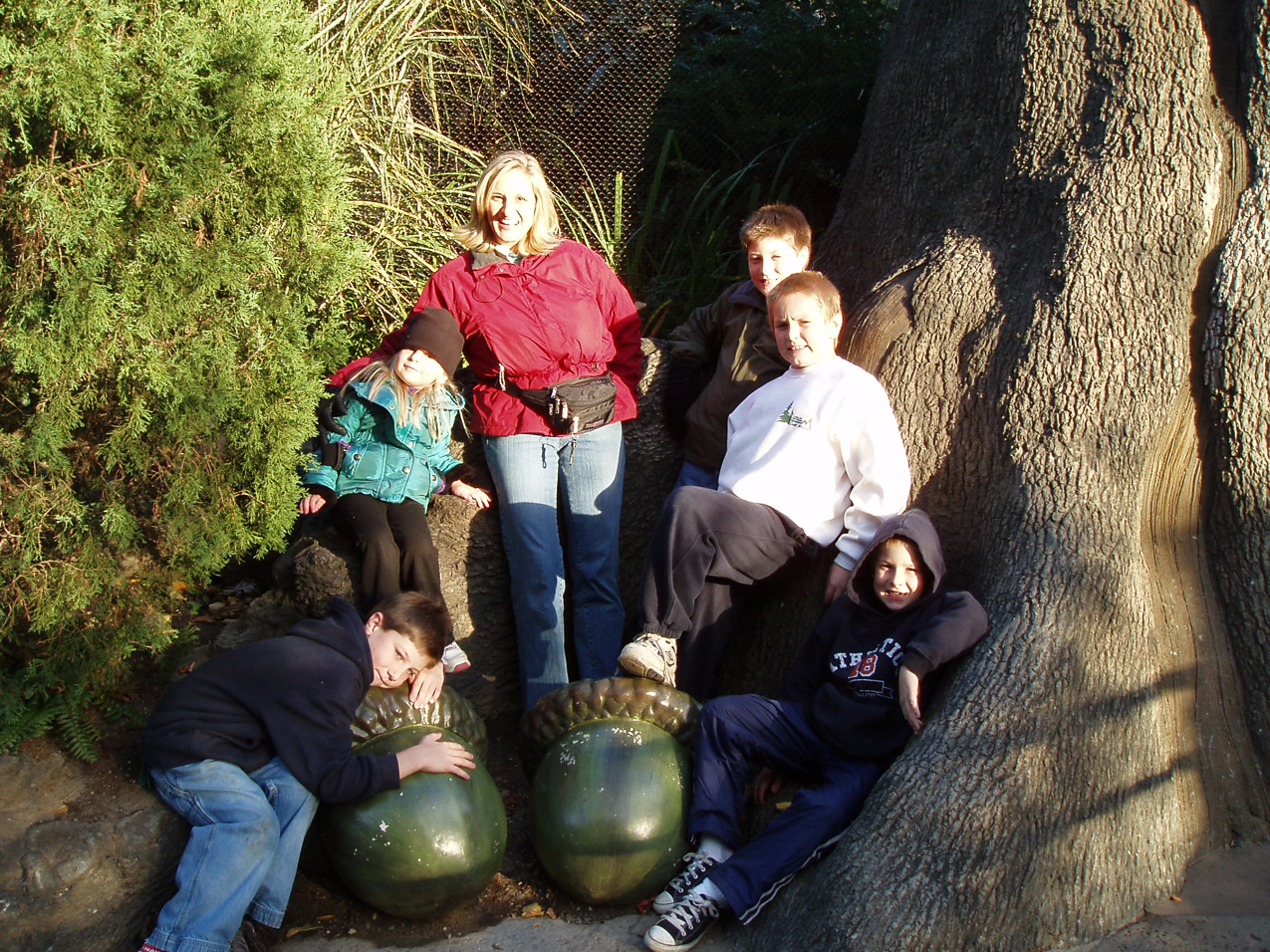   ~~  OLYMPUS DIGITAL CAMERA