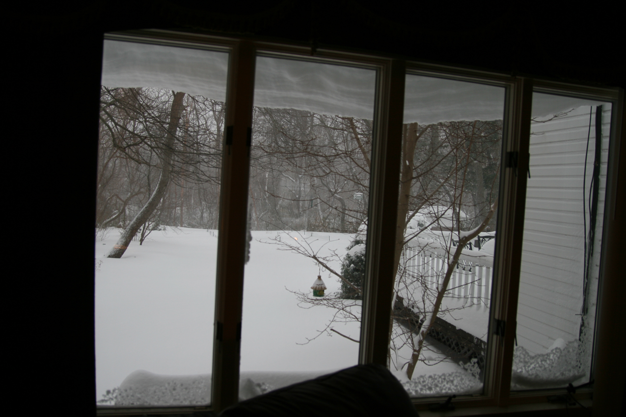 Snowstorm 2009 family room  ~~  snow hanging over the roof and drifting hip high in the yard