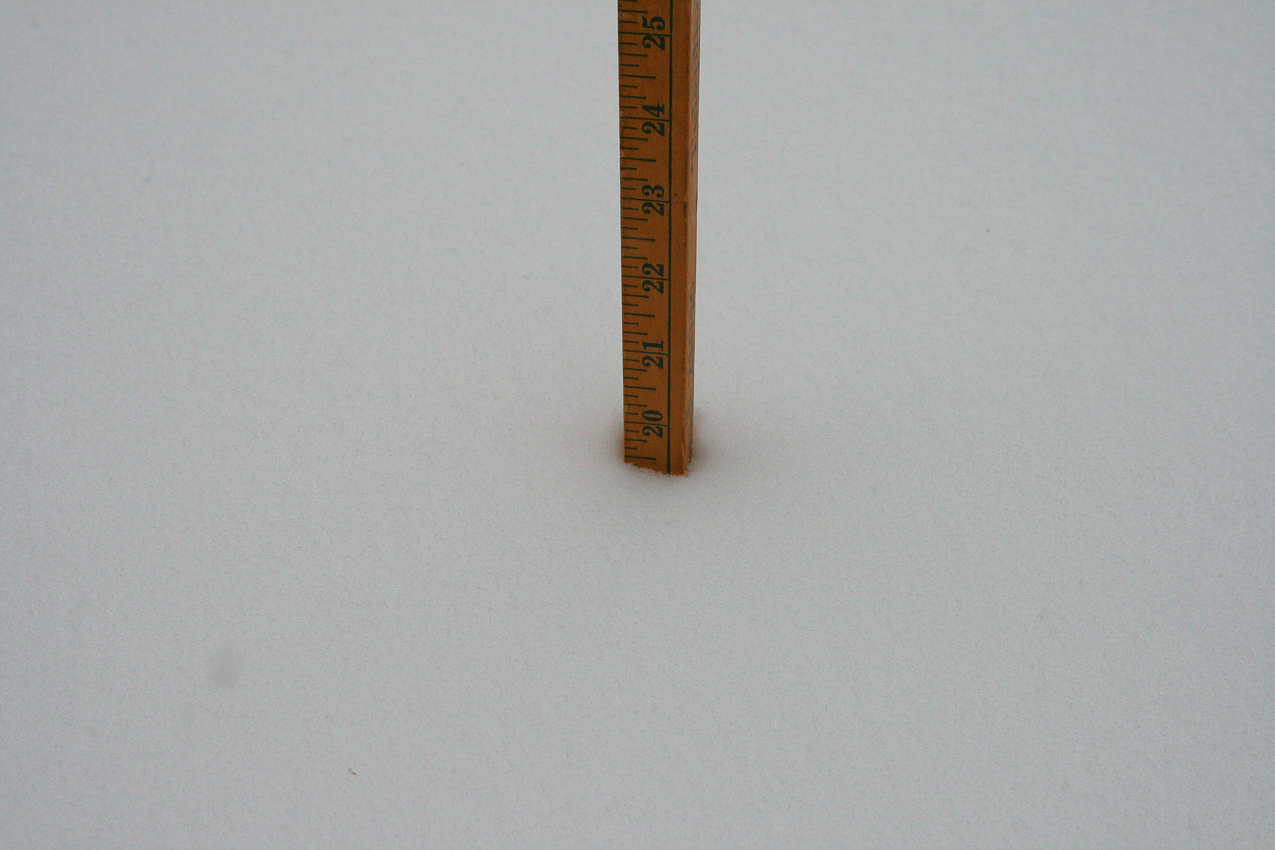 Snowstorm 2009   ~~  Solid 20 inches but it goes to 26.5 an all time record  in Upton, NY  6officiall