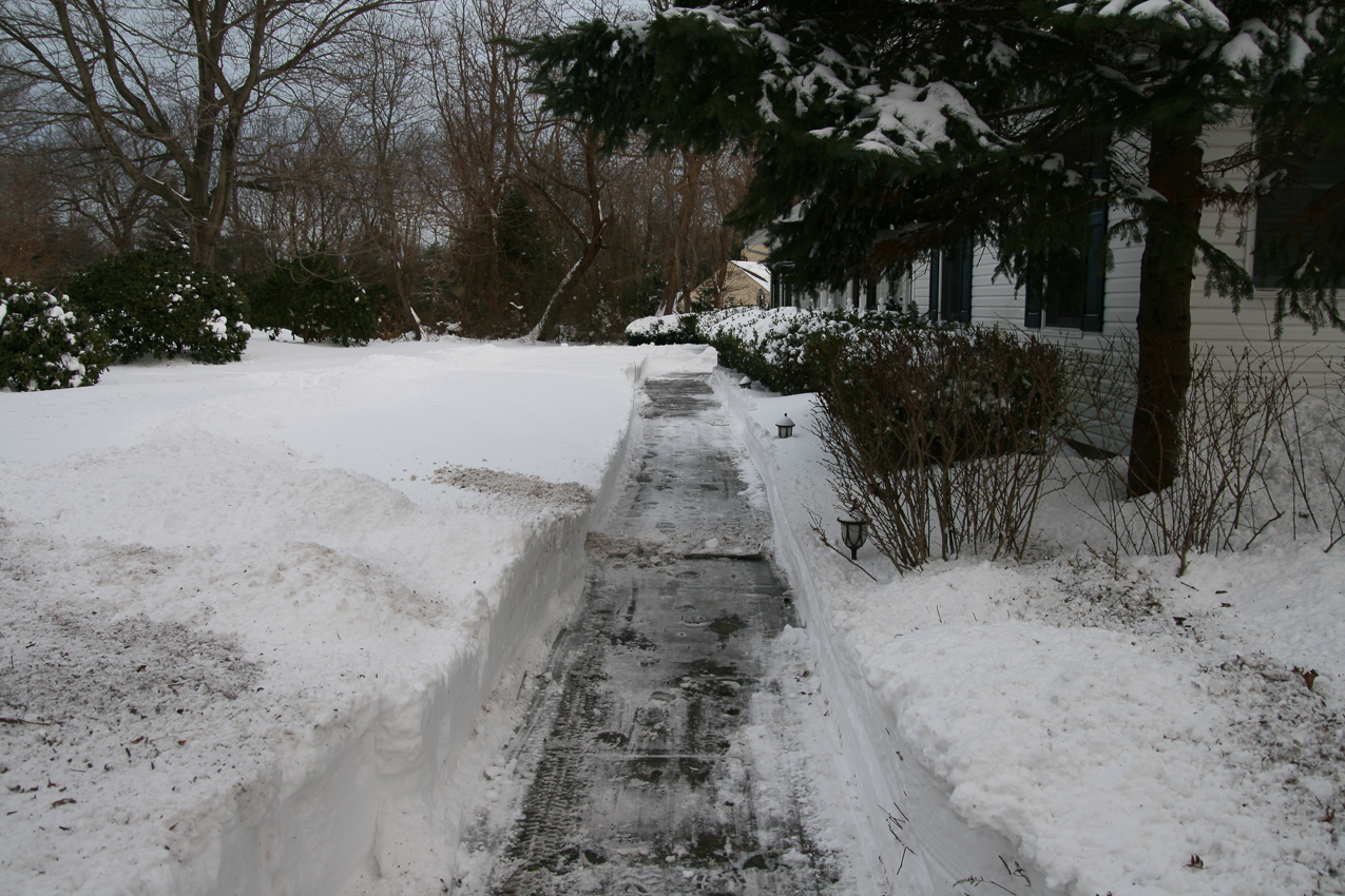 Snowstorm 2009  ~~  Down the front walk