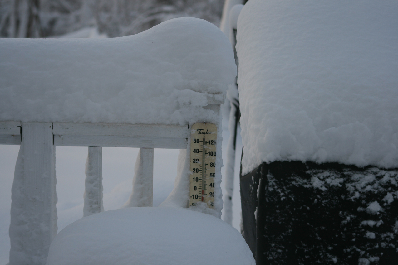 Snowstorm FEB 1oth and 11th  ~~  not going to melt fast at this rate.