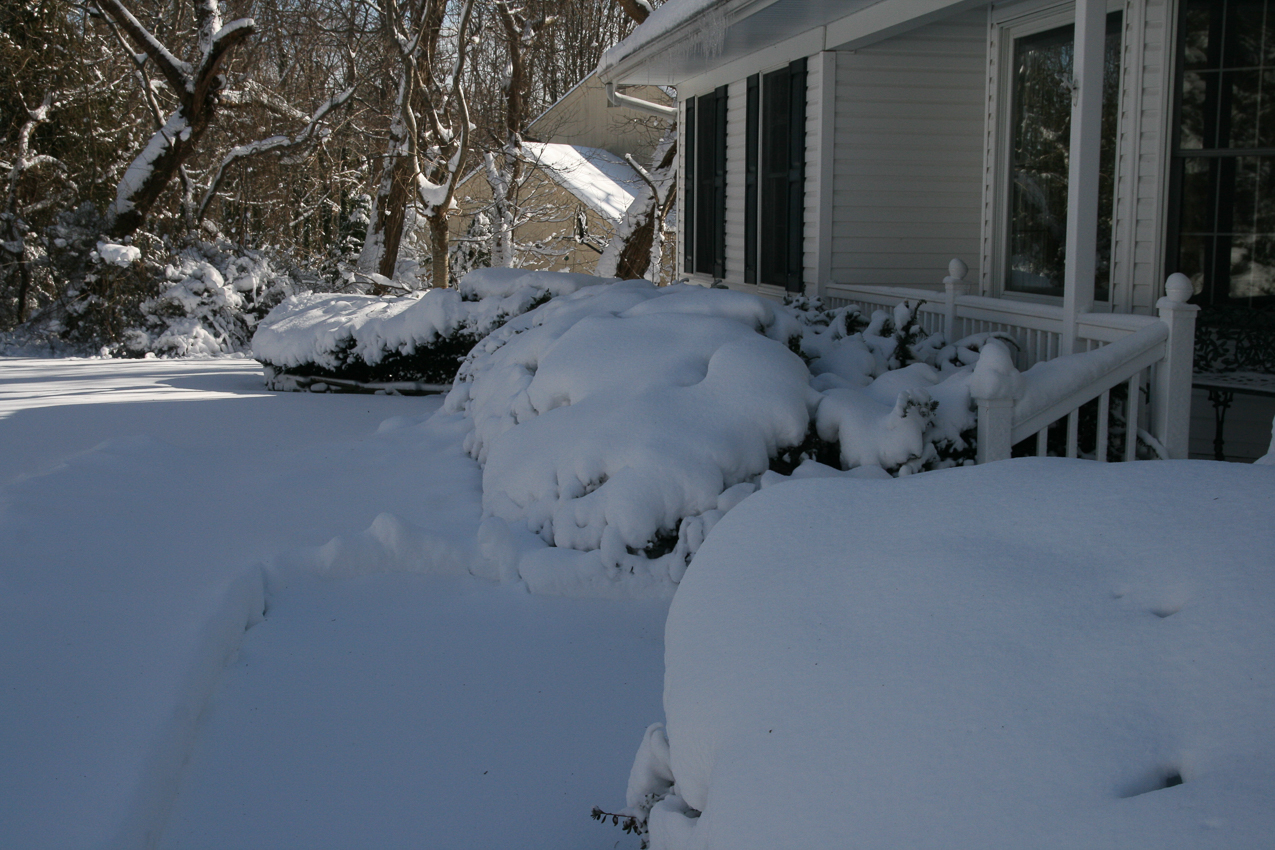 Front walk  ~~  already blasted it last night, a final 4 or so inches more.