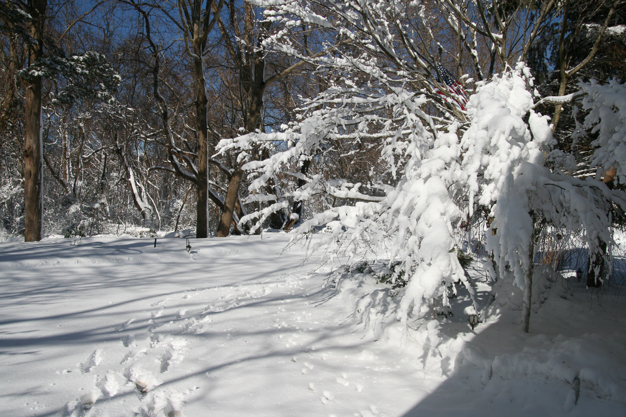 Still purdy!  ~~  Out the garage, posted a lot of these for our snow junkie Uncle Chuck who is missing this snow over in Brussels.