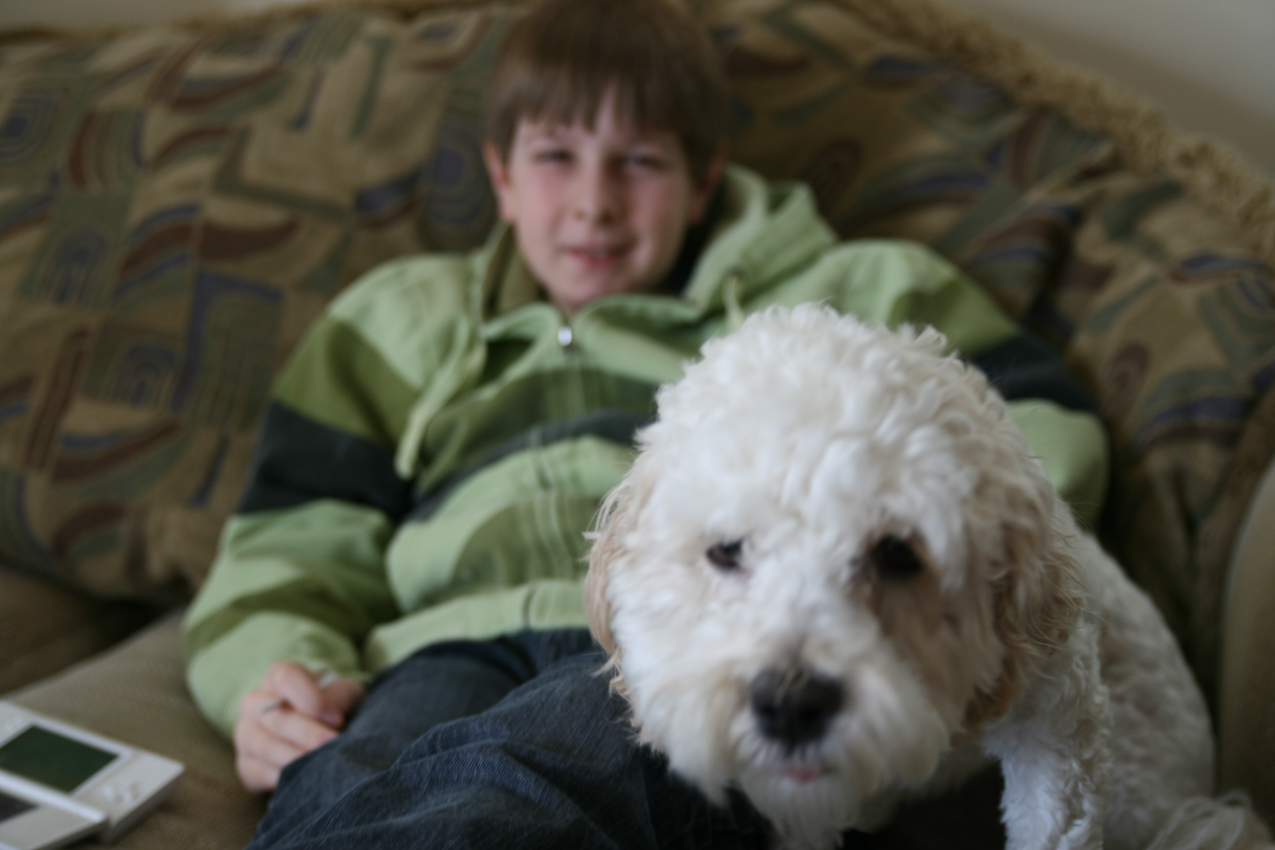 Galvin's new pooch Bailey and Quinn  ~~  