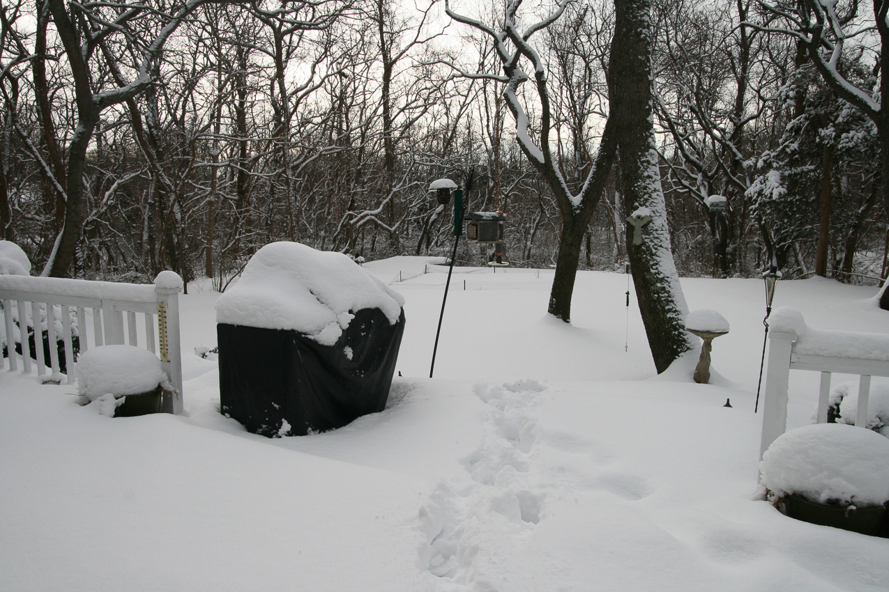 Feb 16th 2010  ~~  backyard over 2 feet now!