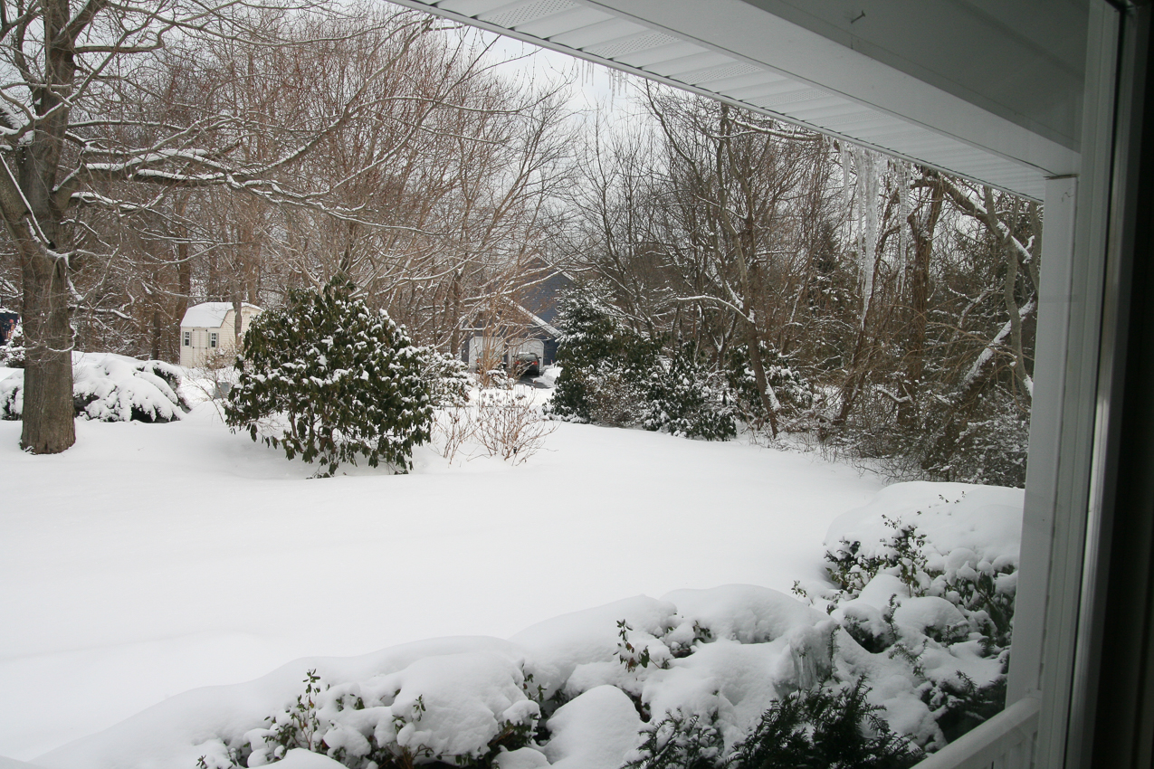 6 more inches on Feb 16  ~~  