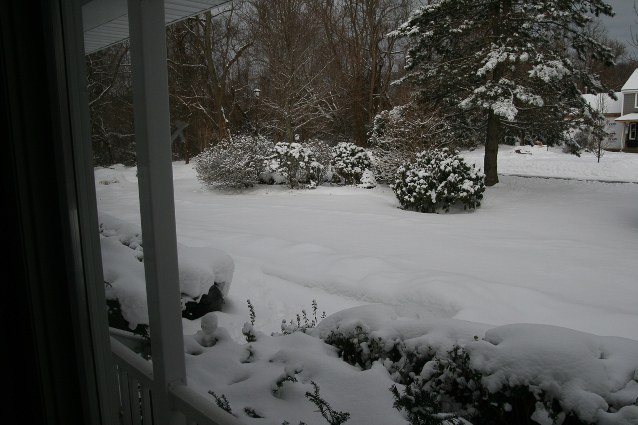 Feb 17th another snow fall!  ~~  