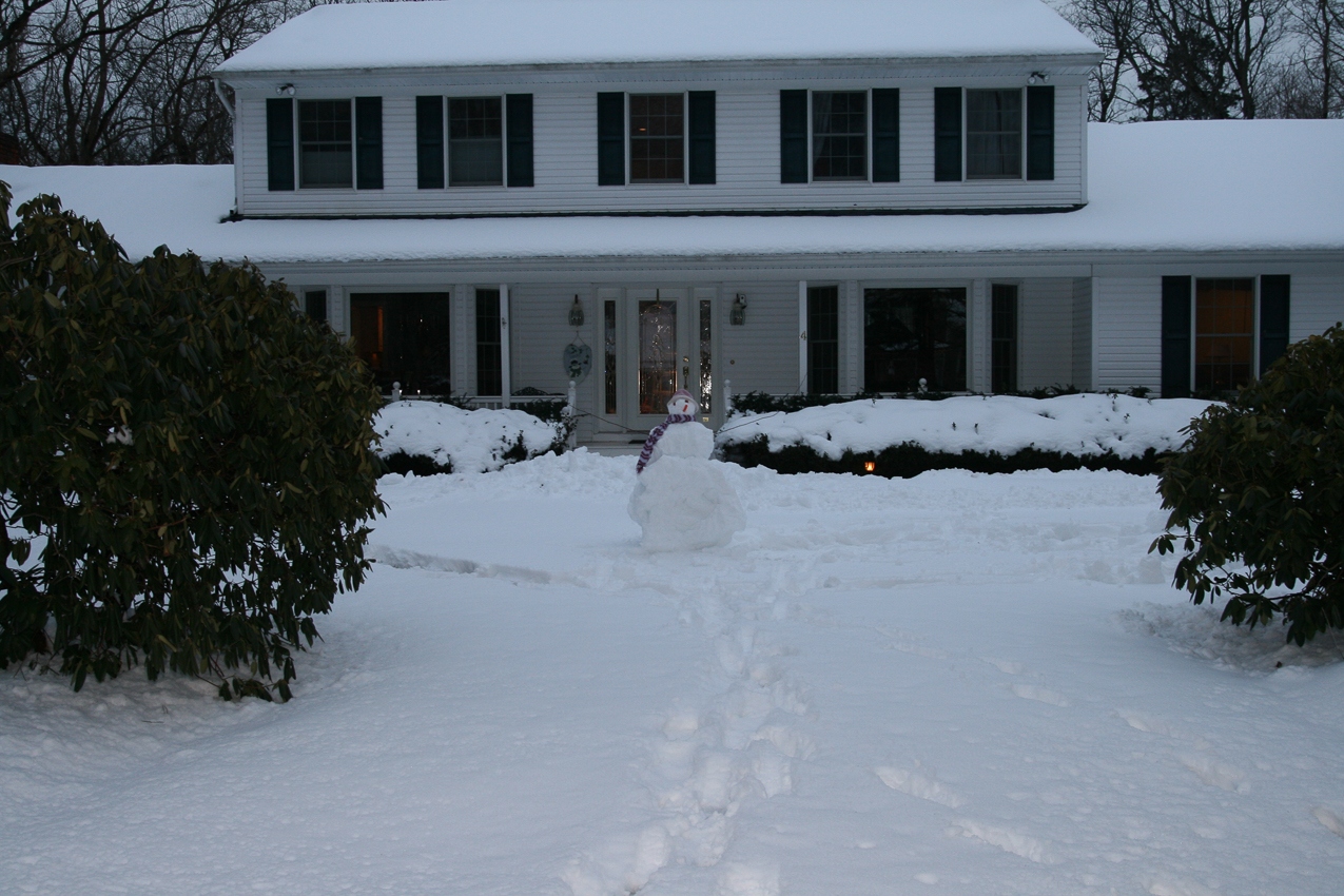 snowman stands guard  ~~  we hope he melts soon and none of his relatives are coming till next year