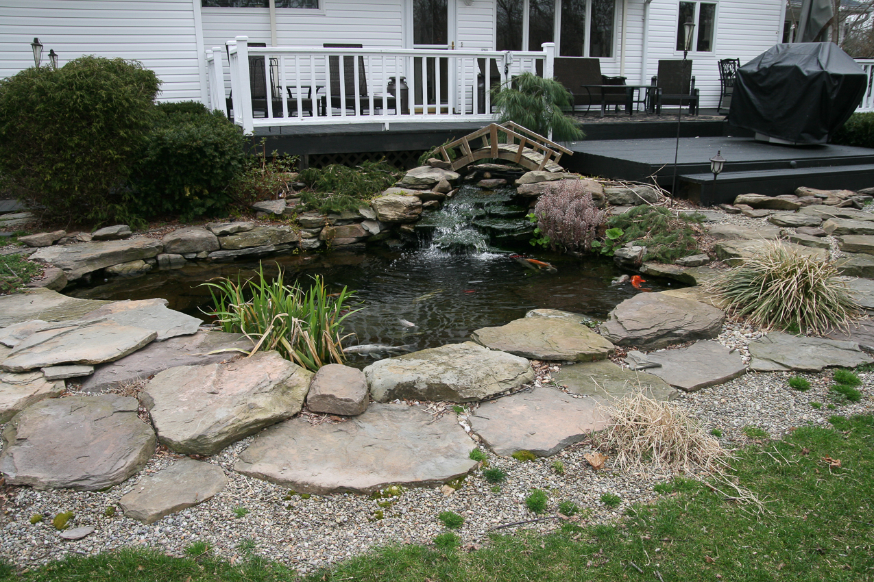 The 19 KOI made it through another winter.  ~~  