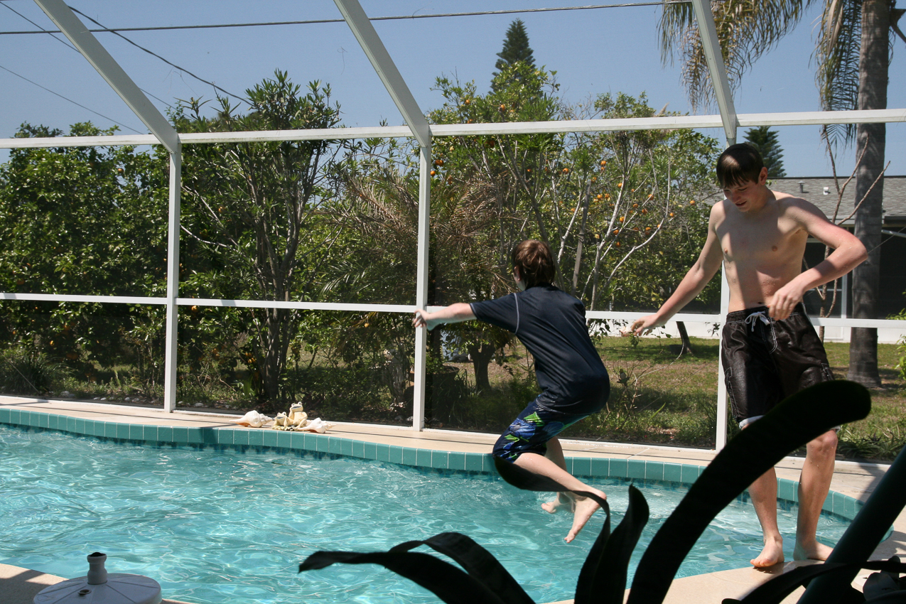 A little horseplay  ~~  