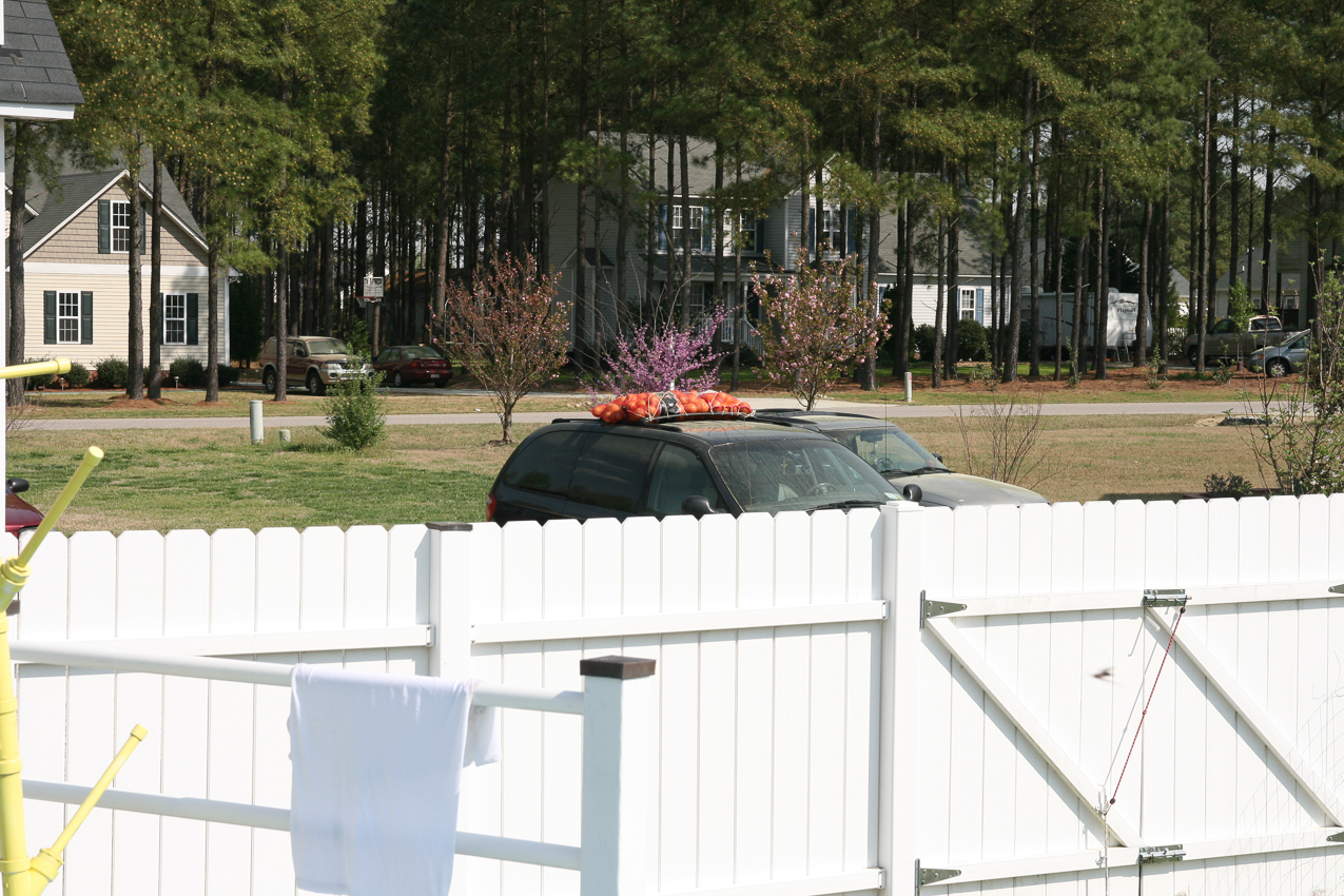 The mothership covered in pollen and stuffed with 200 lbs of FLA grapefruit.  ~~  