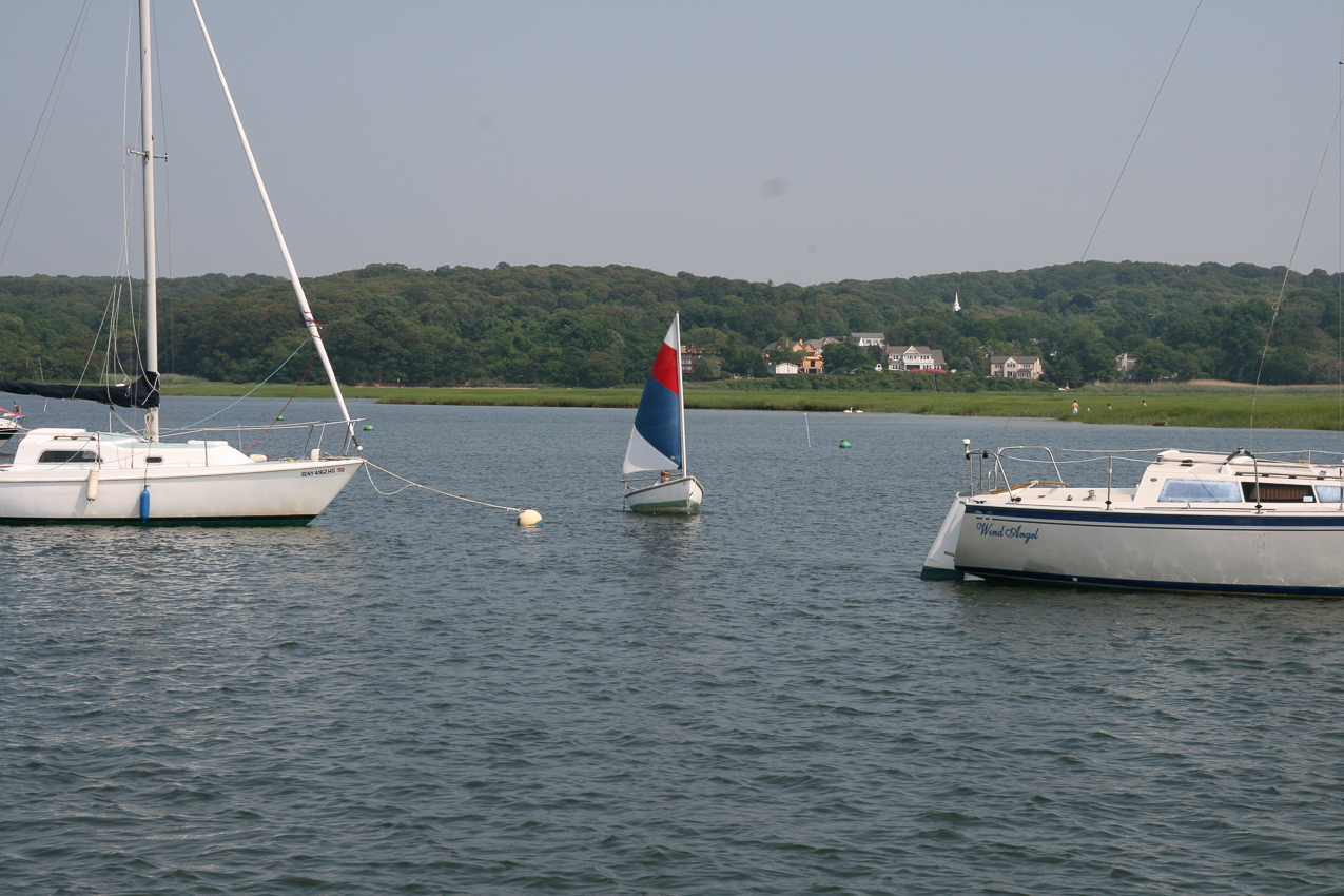 Quinn in the harbor  ~~  