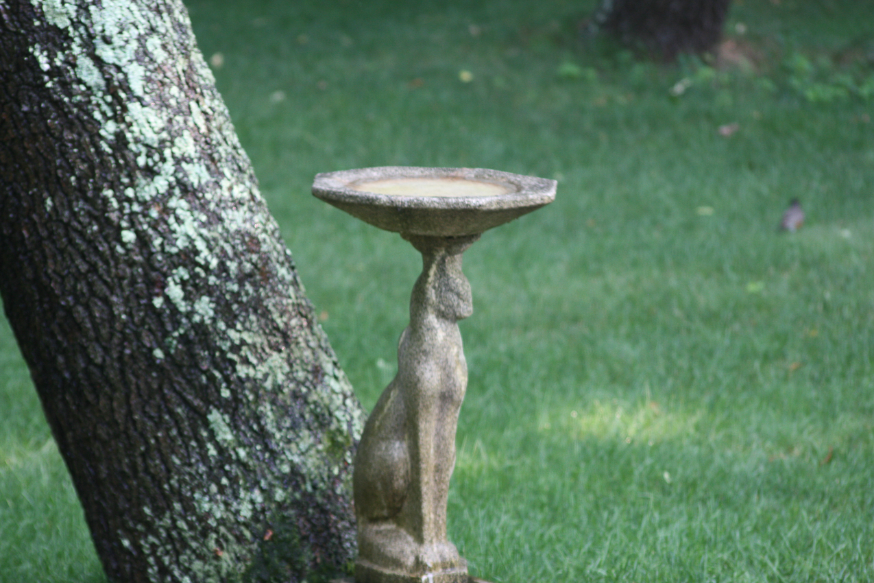 The Roseanita DeChantel Glackin Lynch garden birth bath  ~~  I had to repair the bowl with marine epoxy.  It is over 50 years old and lost a lot of its details.  But still a bird favorite here in NYC.
