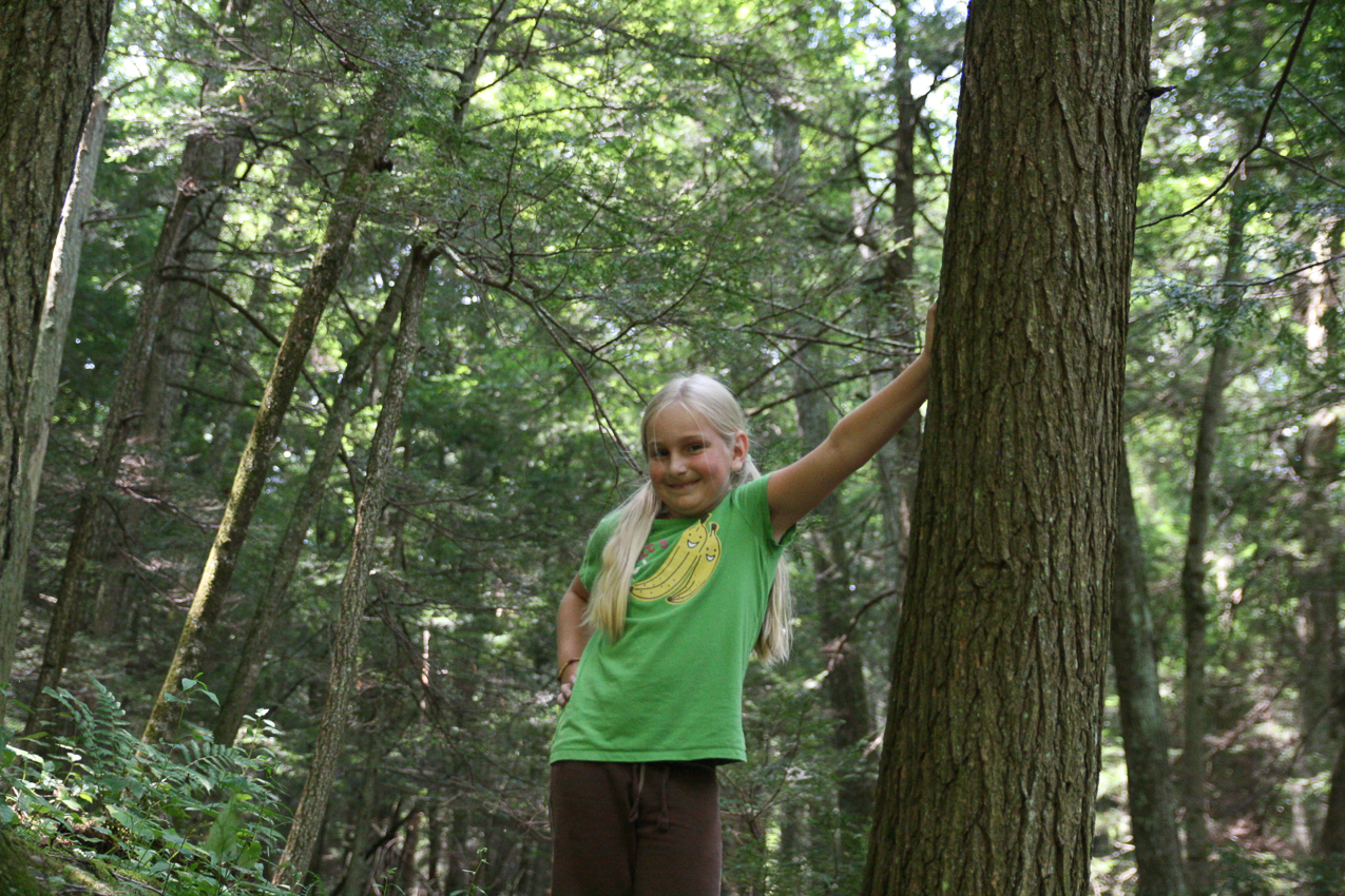 Mary holding up a tree?  ~~  