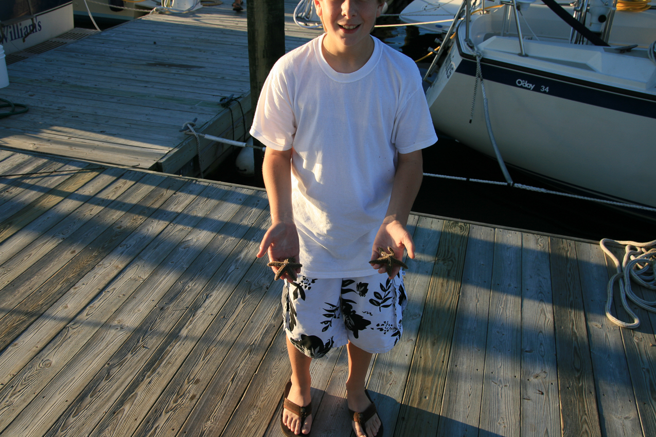 The harbor is in pretty good shape  ~~  two starfish.....they are delicate animals and die if a lot of pollution - so a good sign.