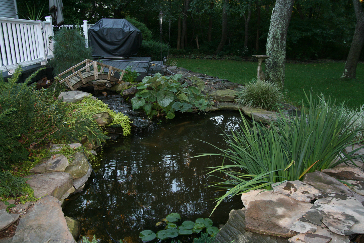 Pond still looks great!  ~~  The 19 KOI are hopefully gonna make it.  If this does not filter enough water, guess there is gonna be some 