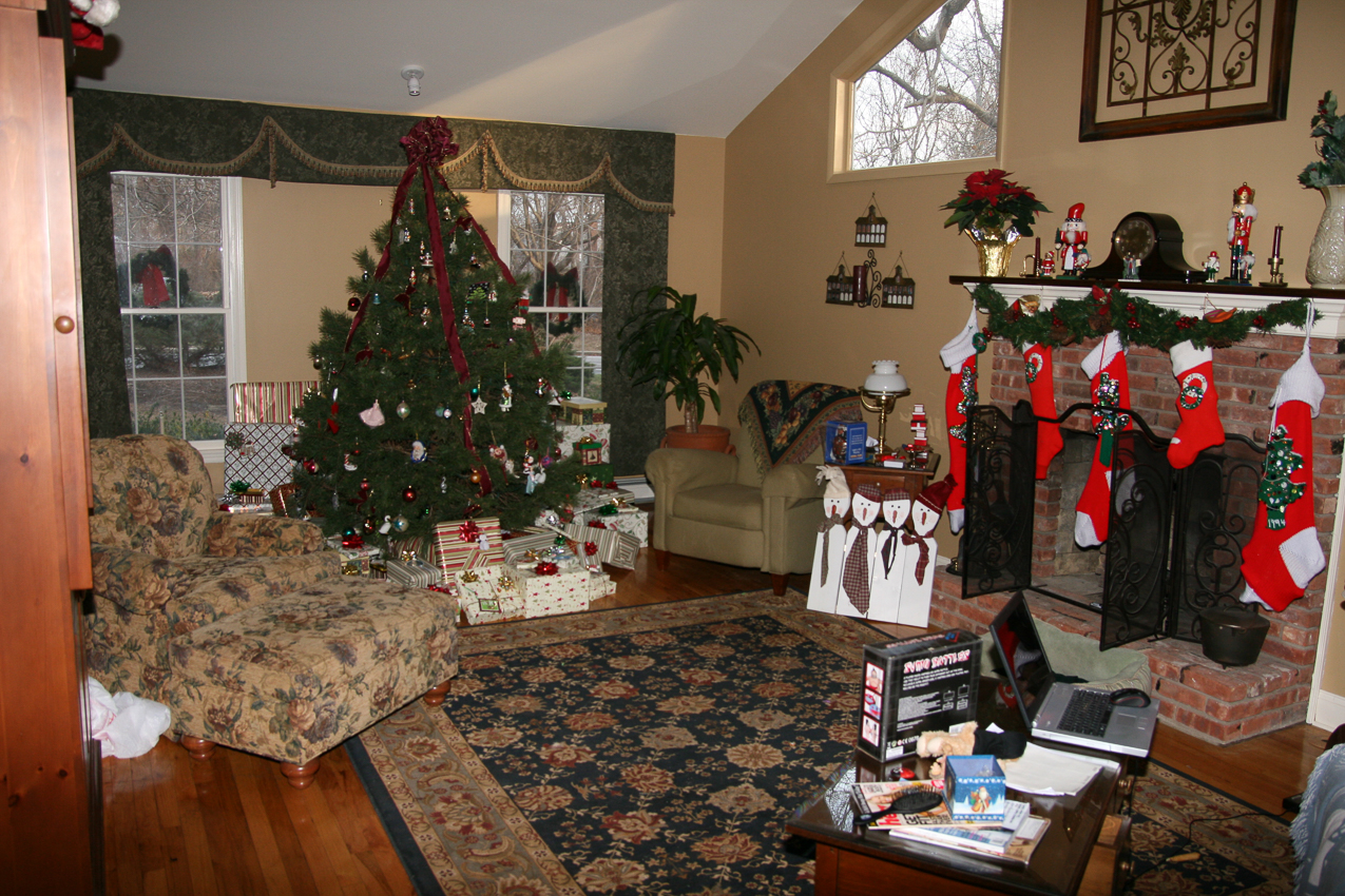 Xmas 2010  ~~  