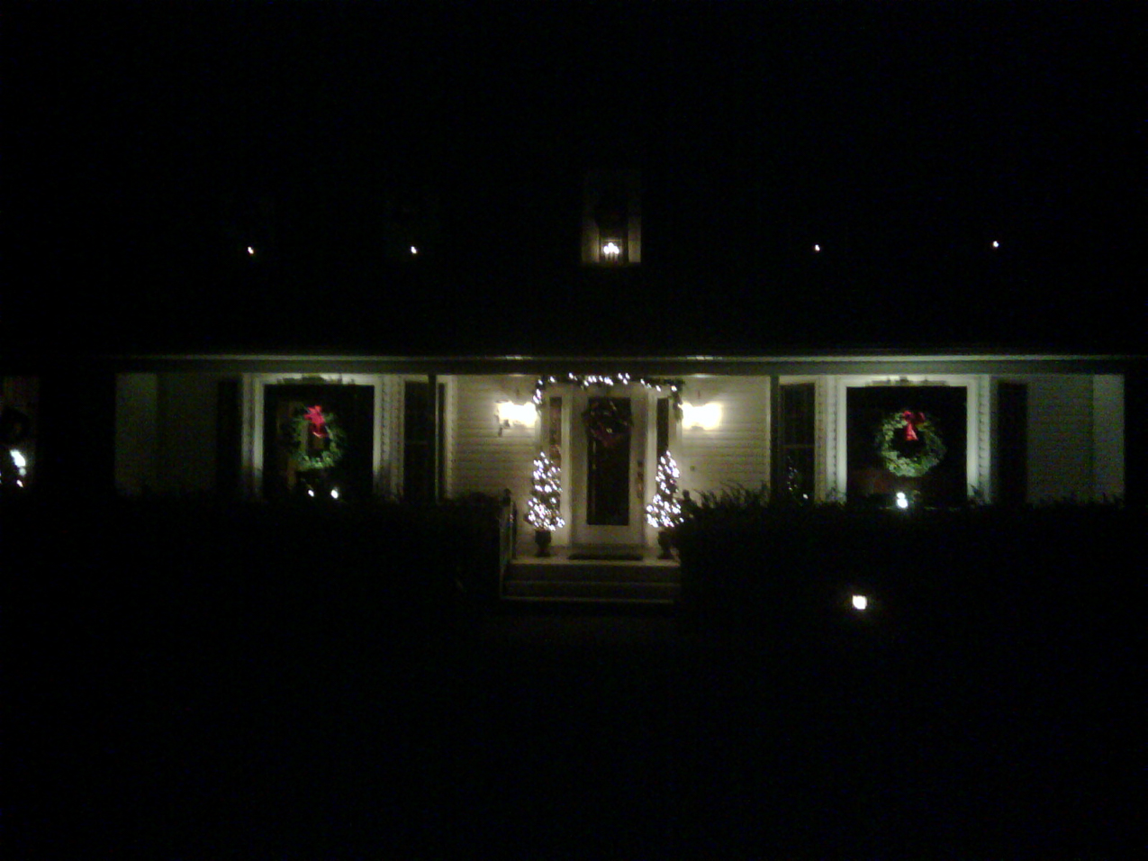 Merry Christmas 2010  ~~  LIPA bill down from $641 to $232.......flourescents and low voltage lights only!!!!  My dad would be proud, almost.  (well have to have some lights?)