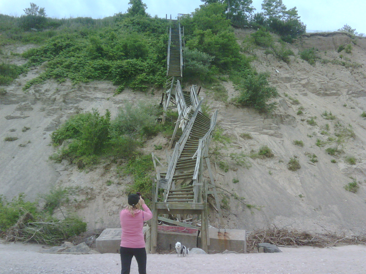 Our steps need some attention?  ~~  