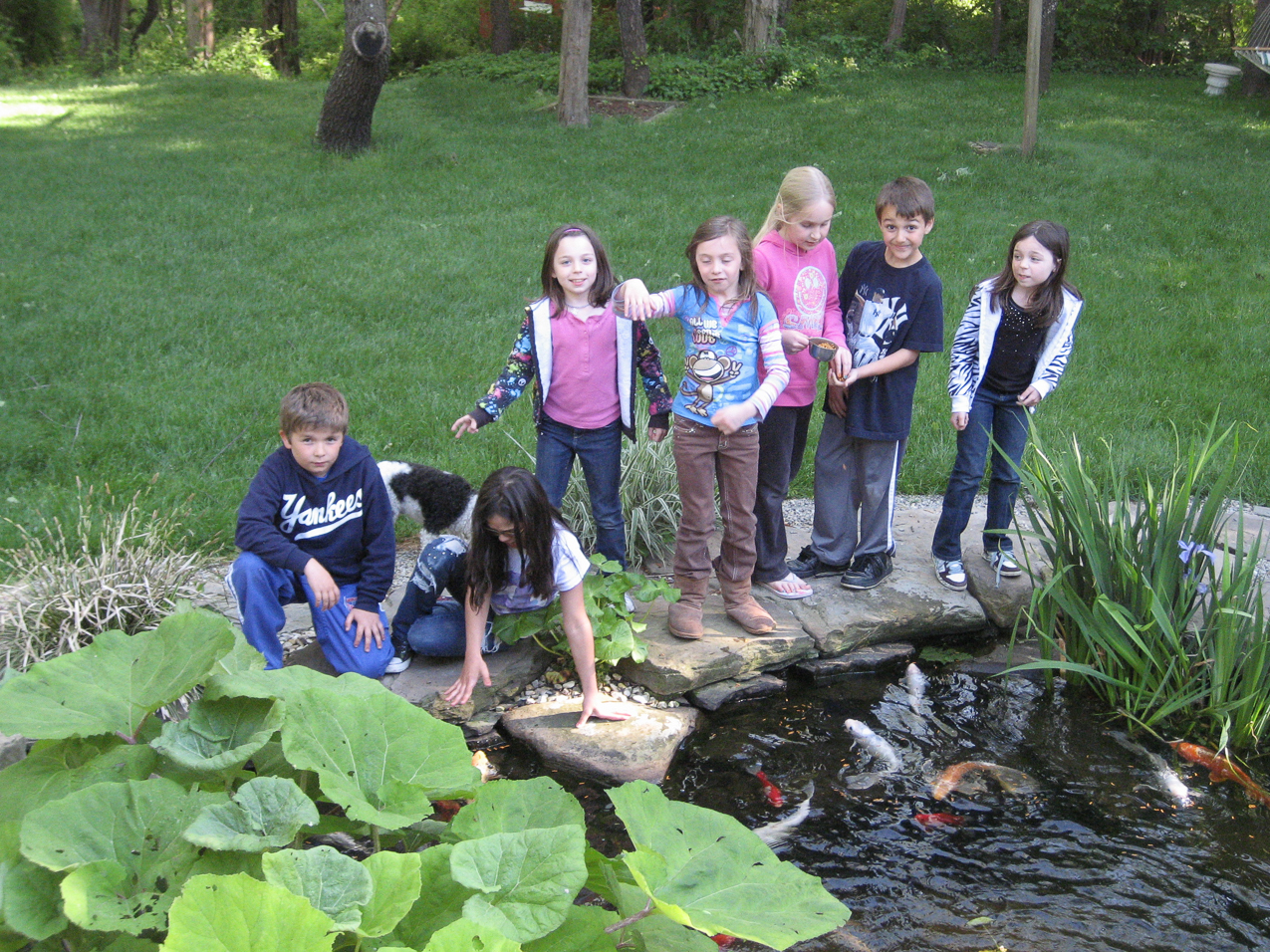 Hangin' by the KOI pond  ~~  