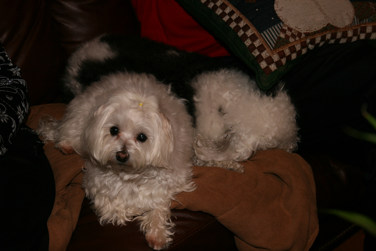 Daisy and Kiki were partying  ~~  