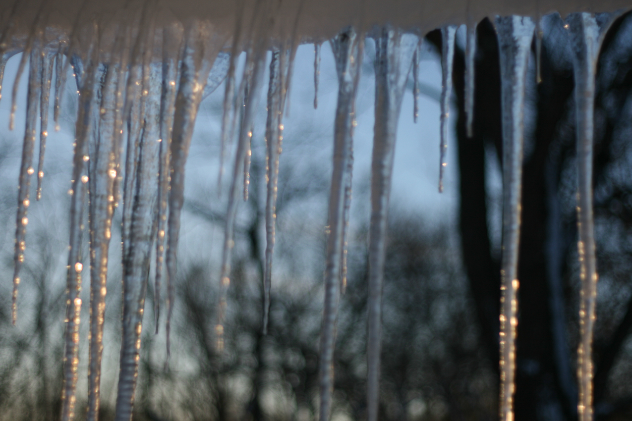 Looks like Polar Express  ~~  