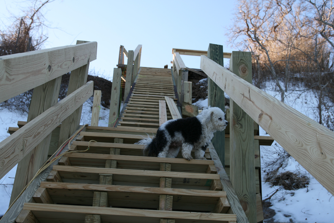 The Keeks on the cliff stairs  ~~  carefull Kiki!  Then next step is 70 feet down from there.