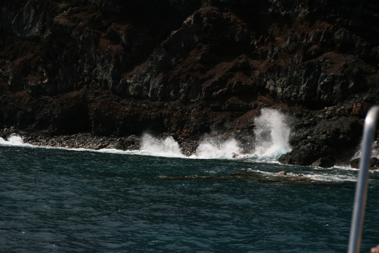 Snorkel Swim  ~~  Shark Cove