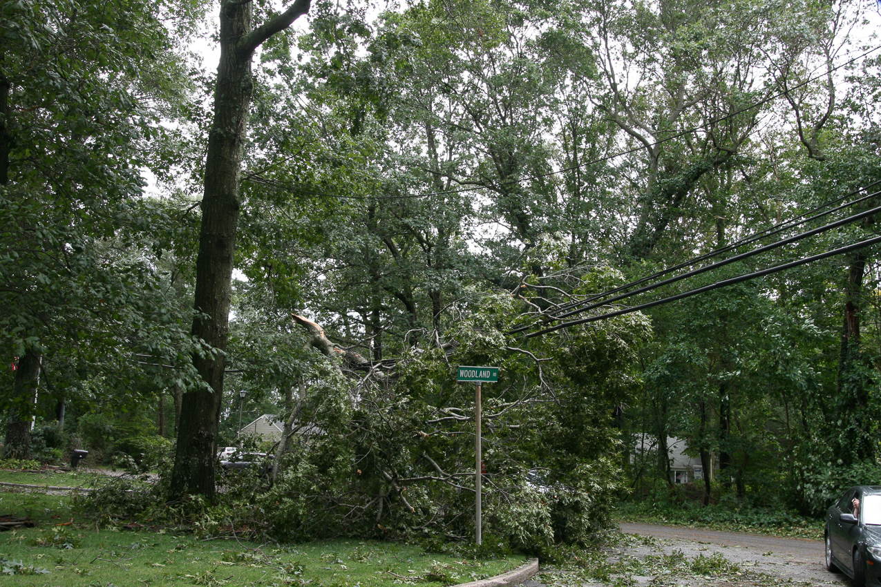 sames story on another block.  ~~  