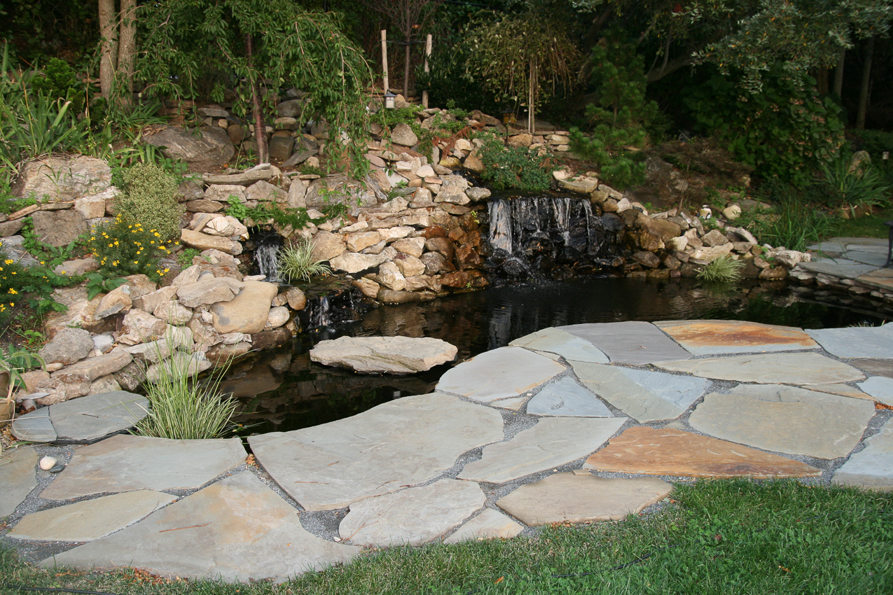 My Koi pond competition.  ~~  