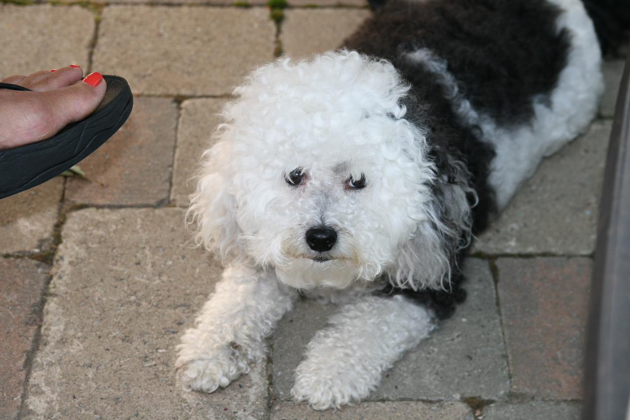 The Keeks!  ~~  just SAY something and end the secret suspense - we KNOW you can talk?