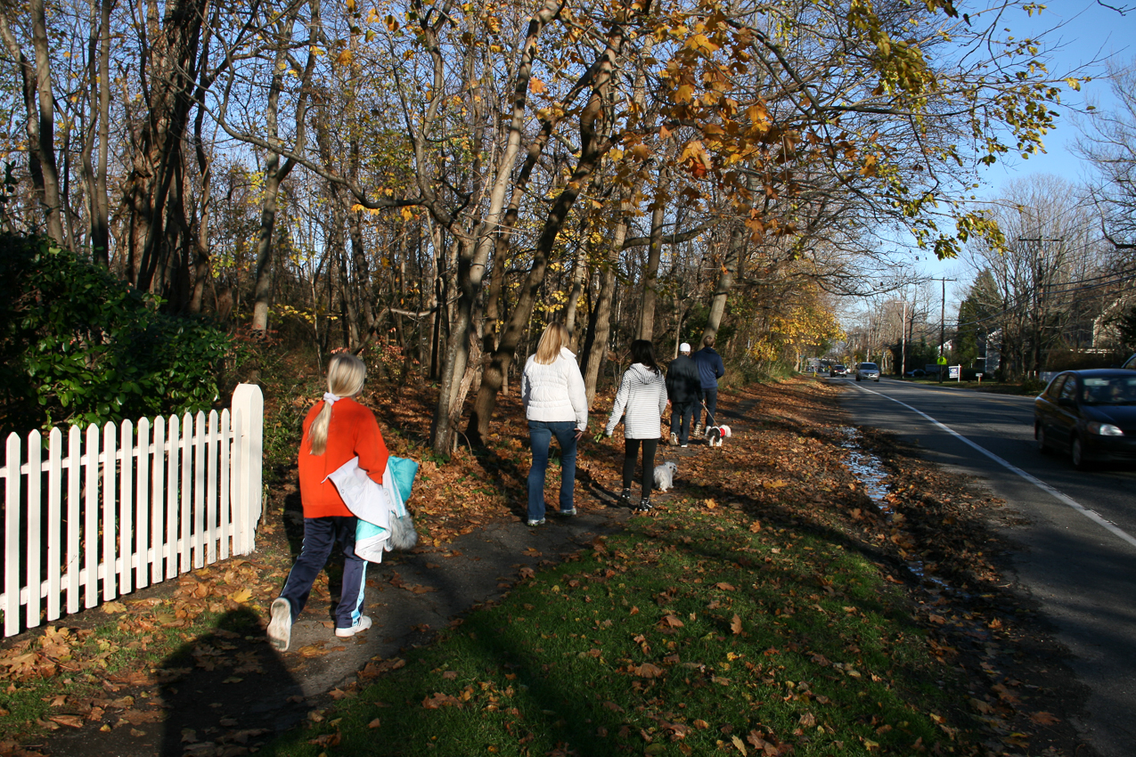 Our house is to the left in the woods.  ~~  This is the historic district