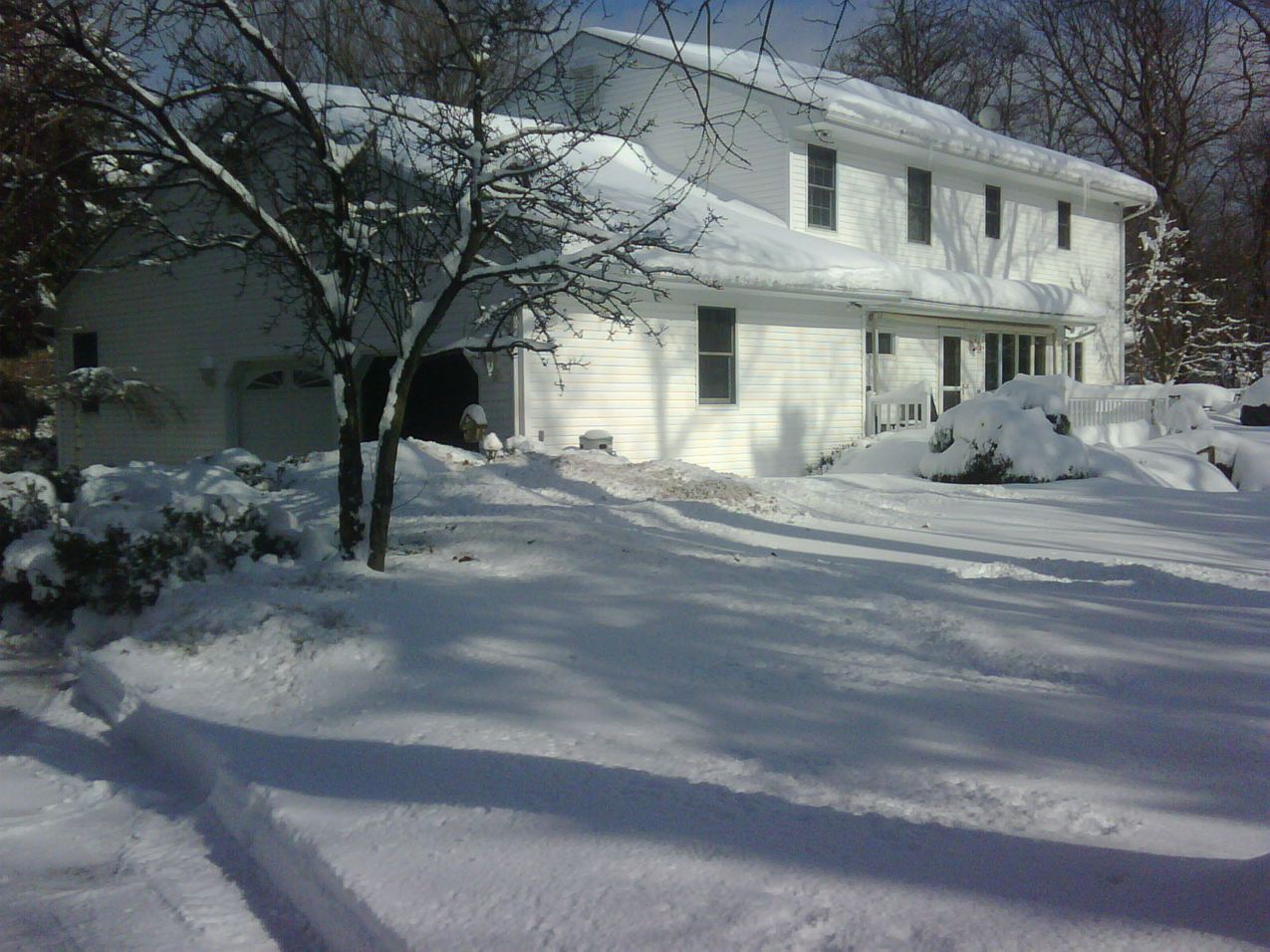 backyard  ~~  its pretty!