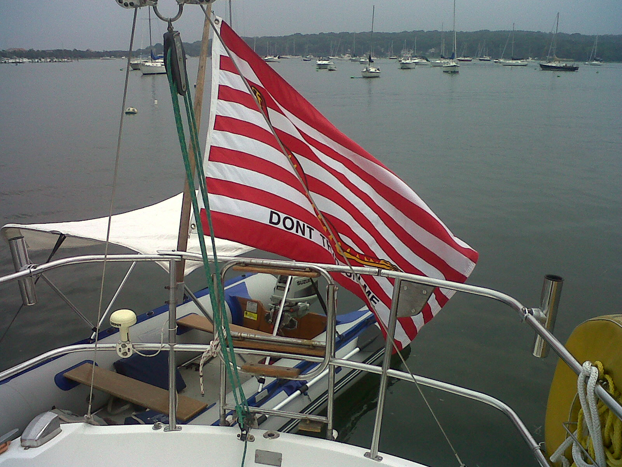 The 1st and the current US Navy Jack  ~~  http://en.wikipedia.org/wiki/First_Navy_Jack