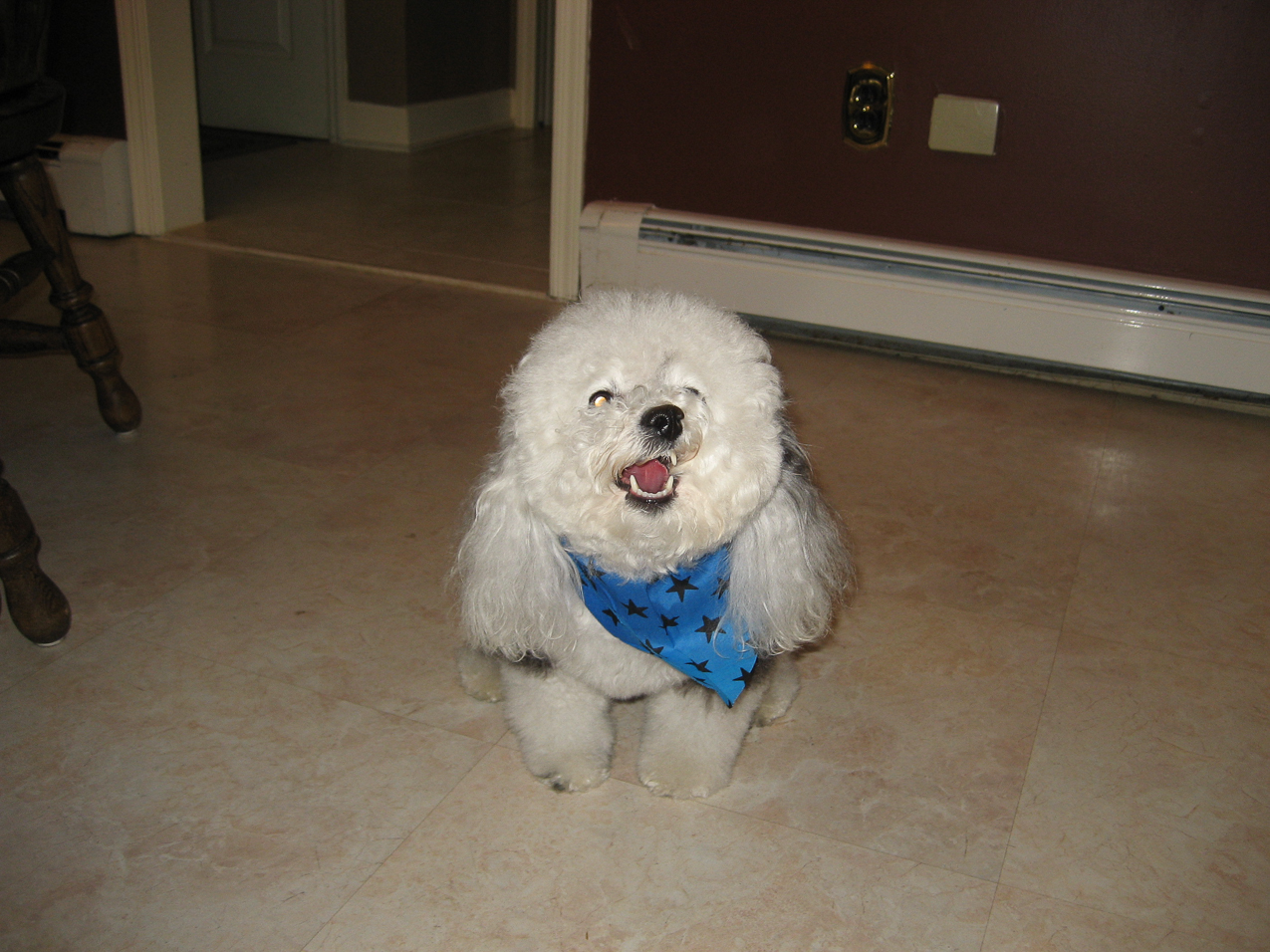 the Keeks  ~~  a little pampered and spoiled?????