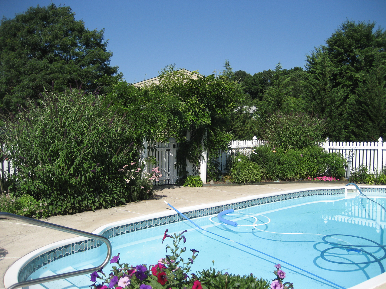 Our old house in Jamison  ~~  we liked this pool!