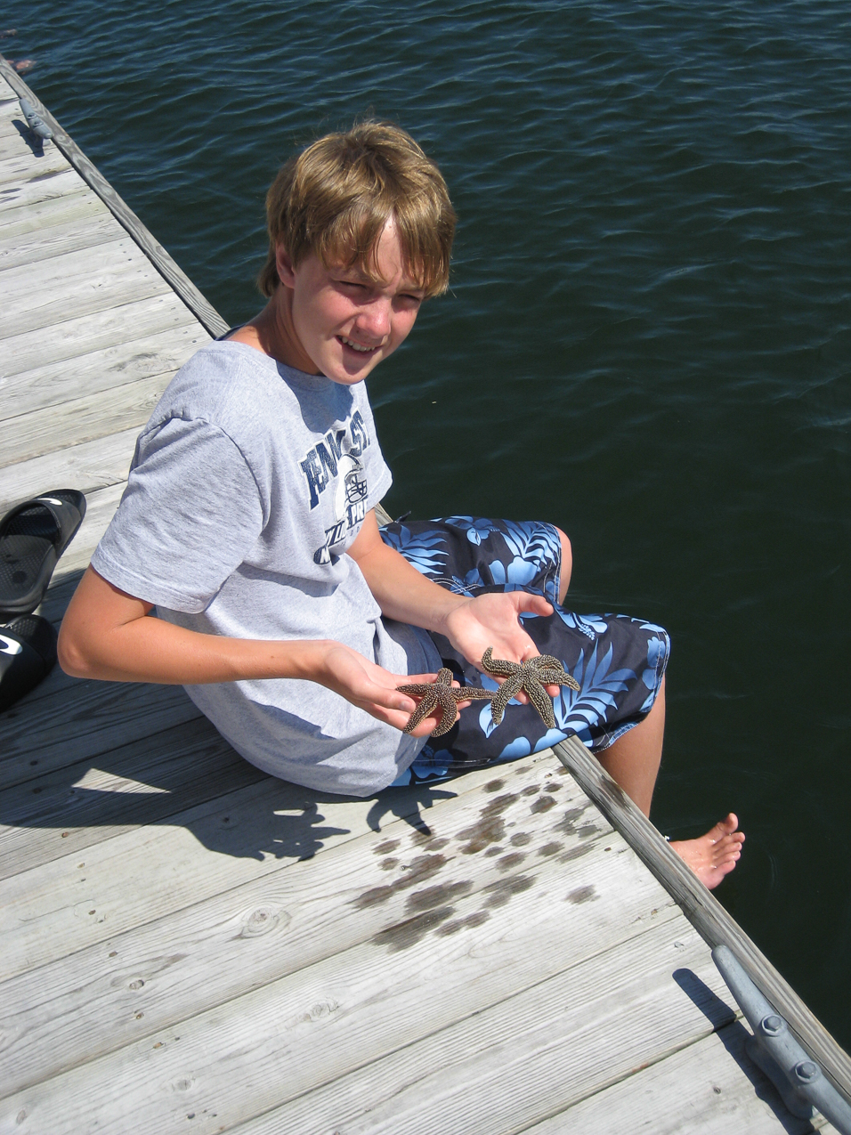 Starfish  ~~  you know the harbor and the Sound are in good shape when these fragile dudes are thriving!