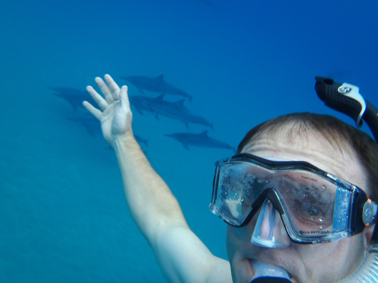   ~~  OLYMPUS DIGITAL CAMERA