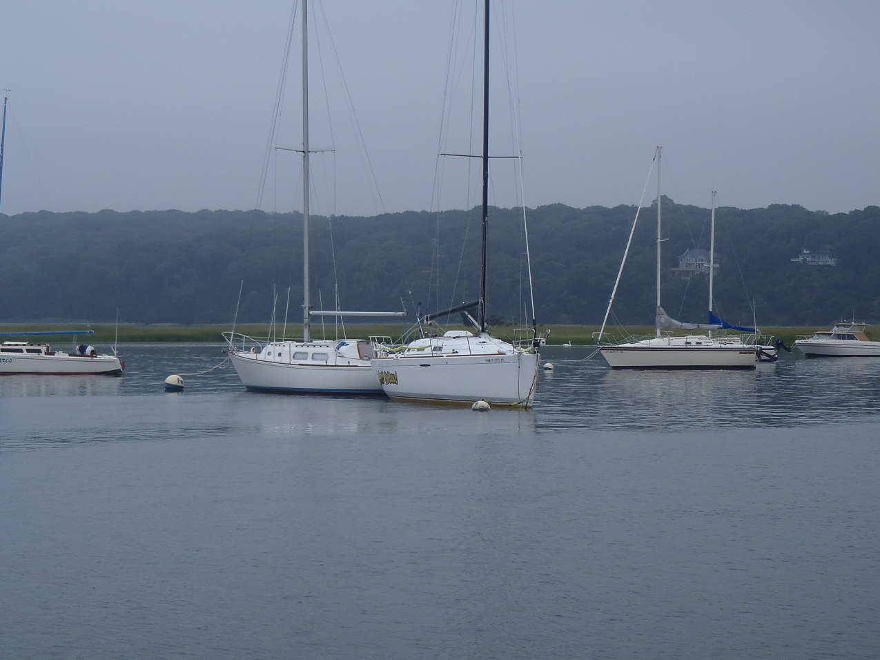 Love Tap?  ~~  no wind in the mooring field, the calm before the storm