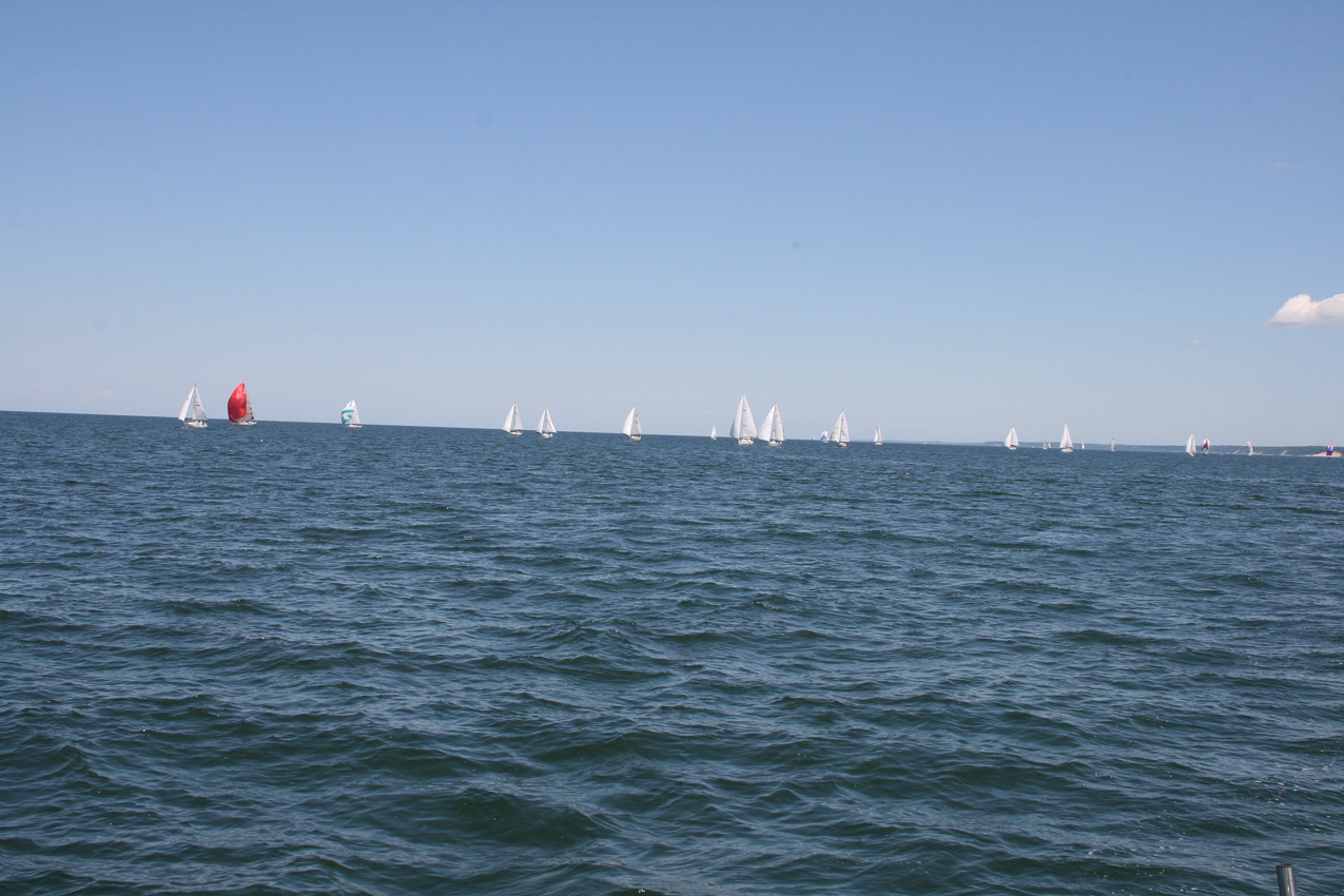 Our view 1/2 way through the race  ~~  NOBODY in front of us.  This does not happen often......we liked it!