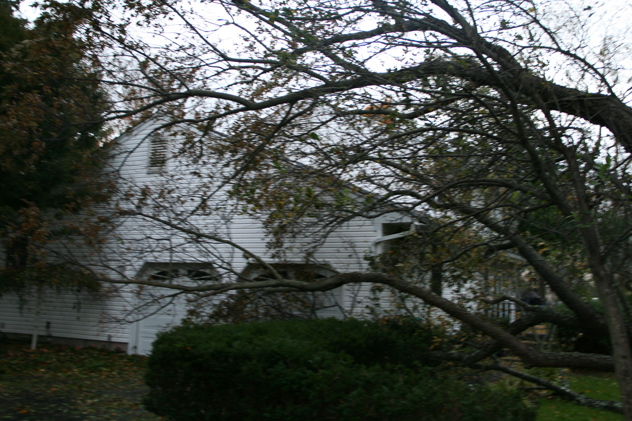 Hurricane Sandy come to town Nov 2012  ~~  tree on house