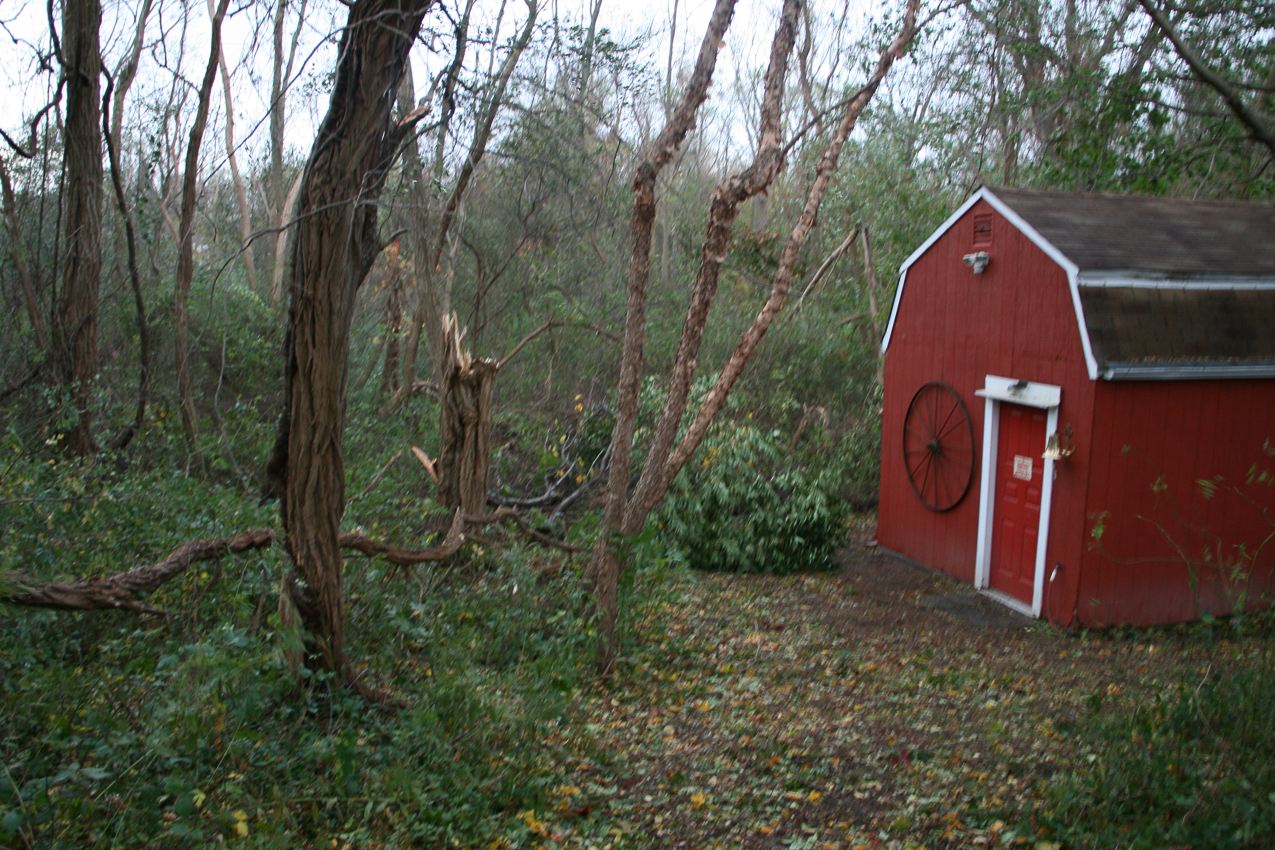 Hurricane Sandy come to town Nov 2012  ~~  another view of tree down back by barn